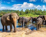 Air Arabia İle Sri Lanka Turu