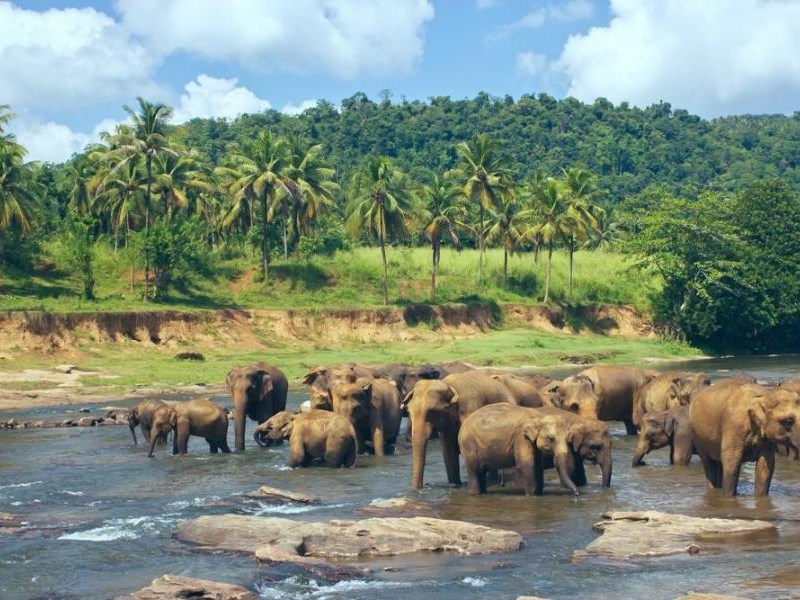 Air Arabia İle Sri Lanka Turu