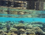 Antalya Hareketli Hurghada (Luksor) ve Kahire (İskenderiye)...