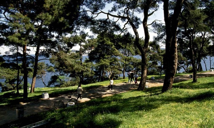 Full Day Princess Island Tour (SIC)