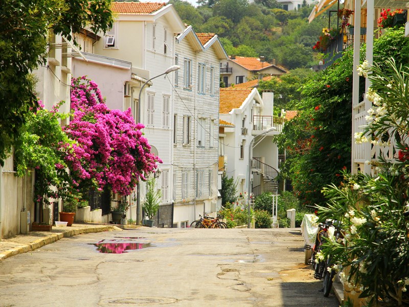 Full Day Princess Island Tour (SIC)