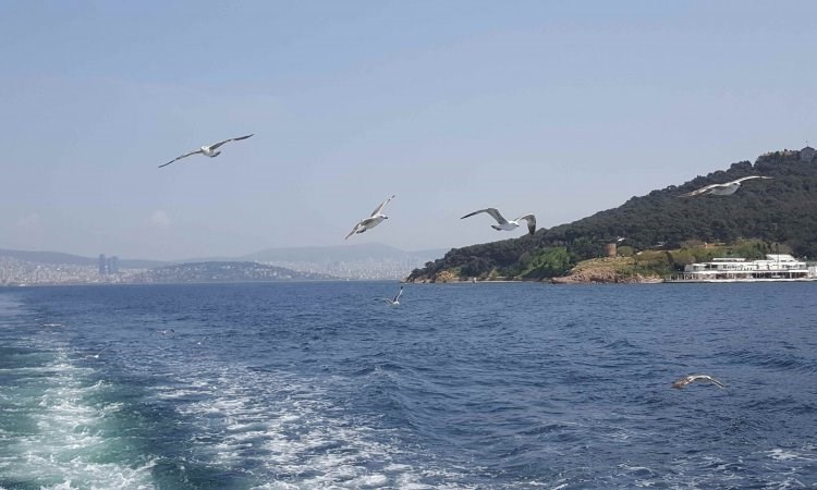 Full Day Princess Island Tour (SIC)