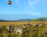 Sömestr Özel Görkemli Güney Afrika ve Safari (JNB - CPT)
