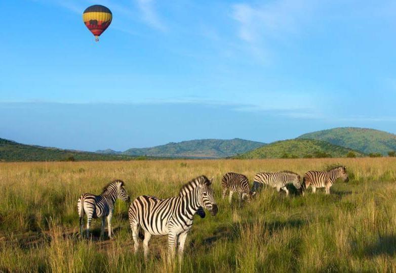 Sömestr Özel Görkemli Güney Afrika ve Safari (JNB - CPT)