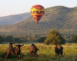Sömestr Özel Görkemli Güney Afrika ve Safari (JNB - CPT)
