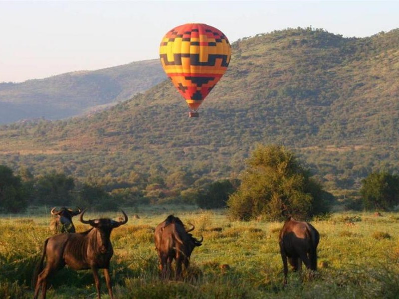 Sömestr Özel Görkemli Güney Afrika ve Safari (JNB - CPT)