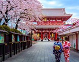 Süper Promo Japonya Turu Rotası