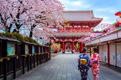 Süper Promo Japonya Turu Rotası