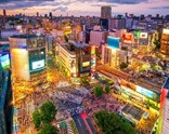 Süper Promo Japonya Turu Rotası
